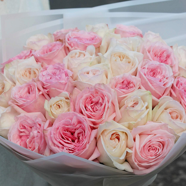 Цветы на праздник: Букет микс из 31 нежной розы O'hara