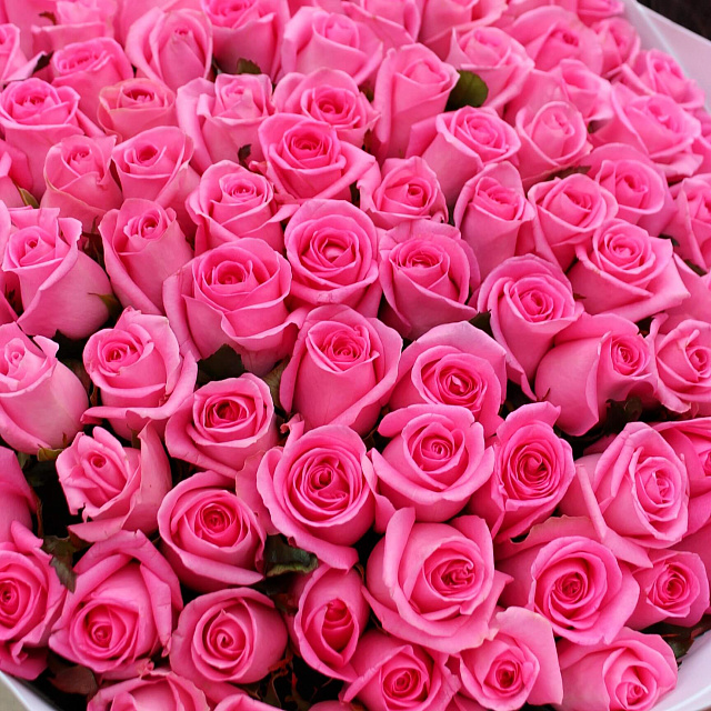 Цветы на праздник: Букет из 101 розы Revival 70 см