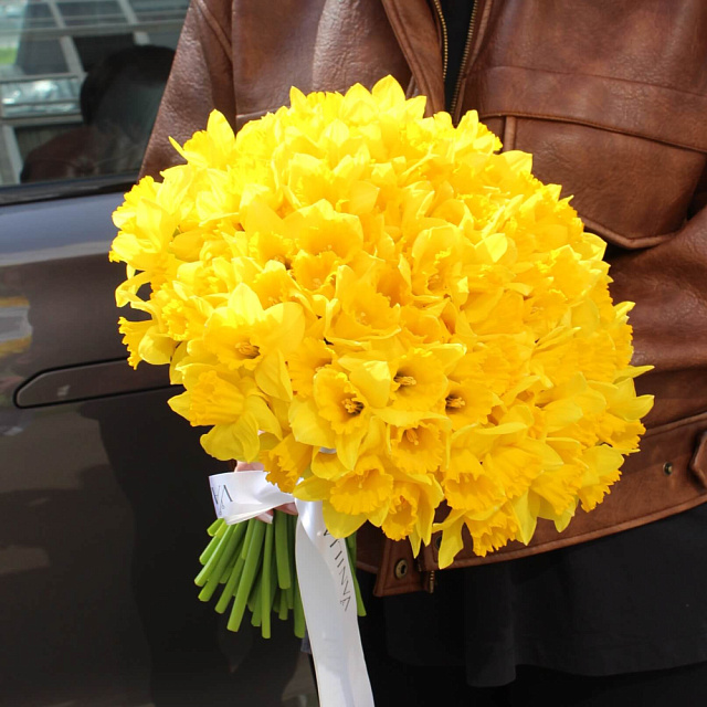Букет из 101 нарцисса под ленту - изображение 2