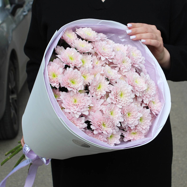 Кустовая хризантема "Pink" - изображение 2