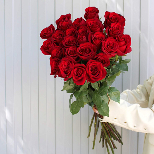 Букет красных роз: Букет из 25 роз Explorer 90 см