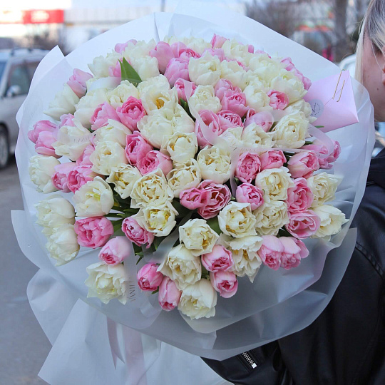 101 пионовидный тюльпан микс «Dream»