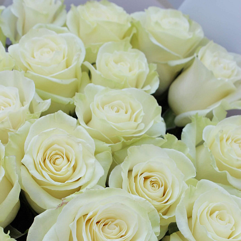 Букеты белых роз: Букет из 25 роз Мондиаль 70 см