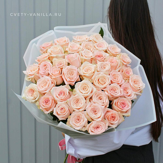 Роза персиковая "Кимберли" 41 шт - изображение 2