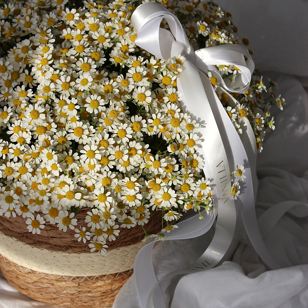 Корзинка с ромашками