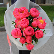 11 пионов Coral Charm