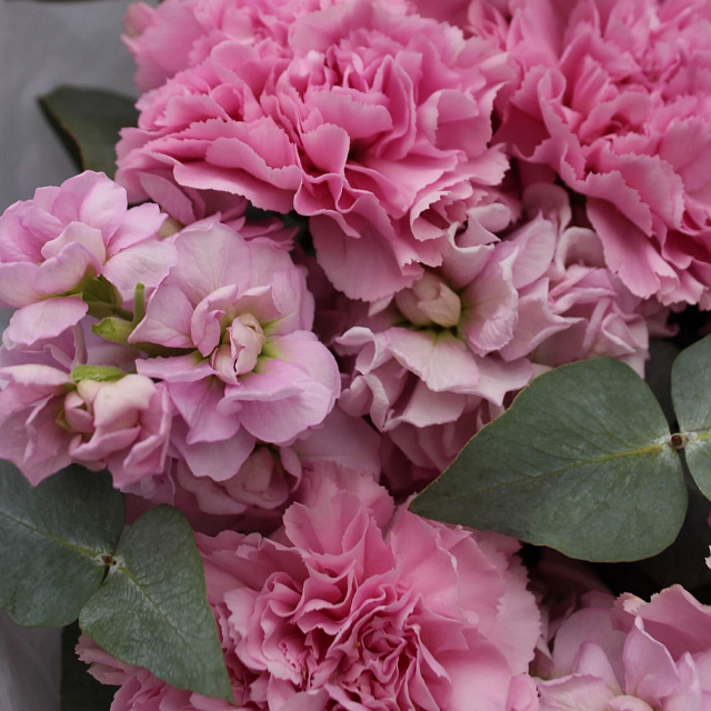 Цветы на праздник: Ароматный букет из гвоздик и маттиолы