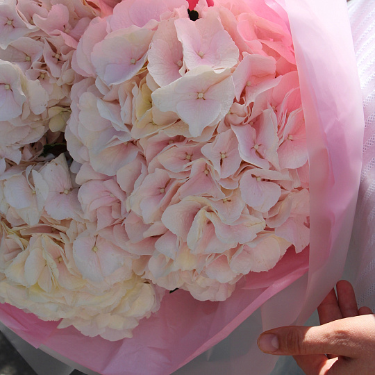 Букет из трёх гортензий