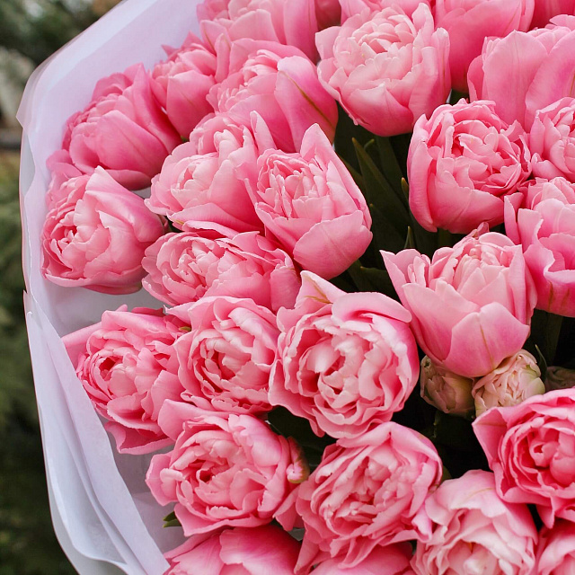 Цветы: Букет из 51 пионовидного тюльпана Light Pink