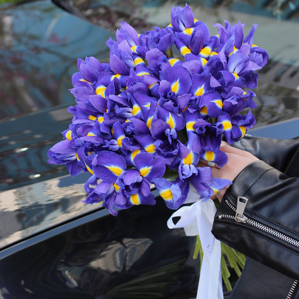 Букет из 25 ирисов