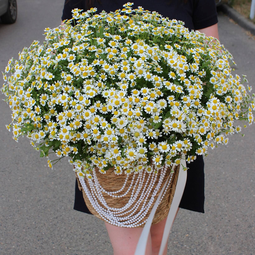 Ромашки микс в корзине