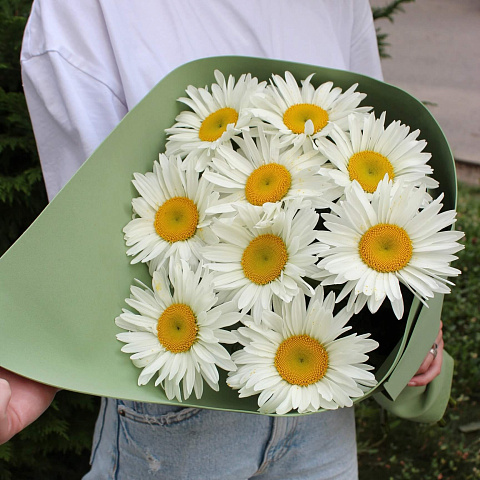 Букеты ромашек: Букет из 9 крупных ромашек
