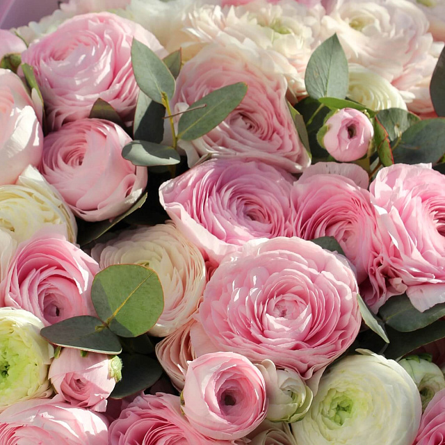 Сборные букеты  : Букет микс из 51 ранункулюса