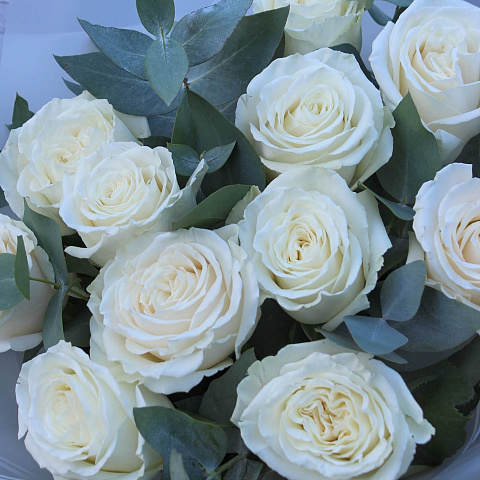 Букеты из 11 роз : Букет из 11 нежных роз 50 см