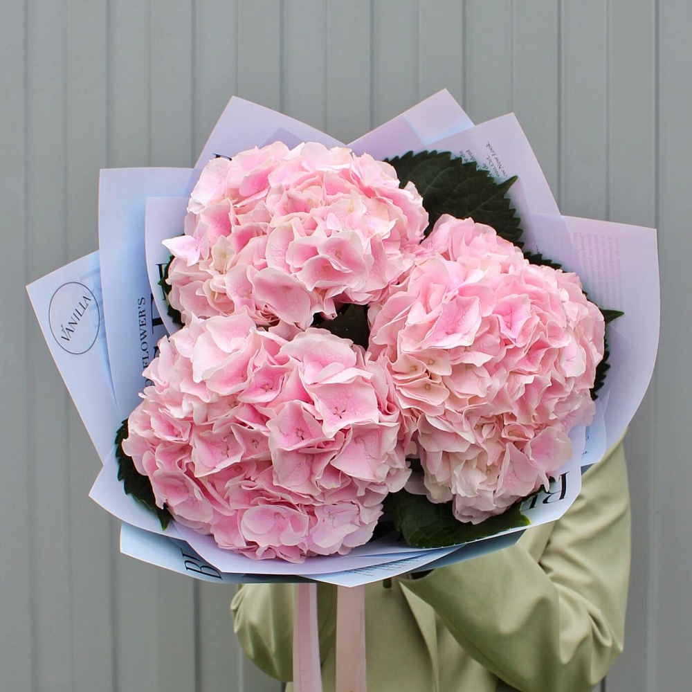 Букет из гортензии "Pink"