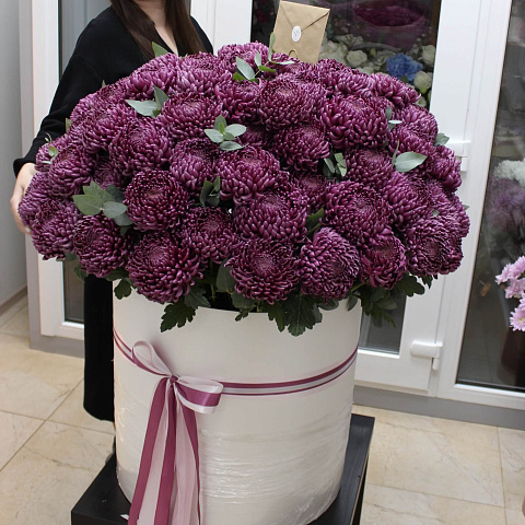 Необычные букеты: 101 хризантема Бигуди в шляпной коробке