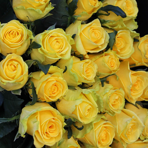 Осенние букеты  цветов с доставкой: Букет из желтых роз в черной упаковке