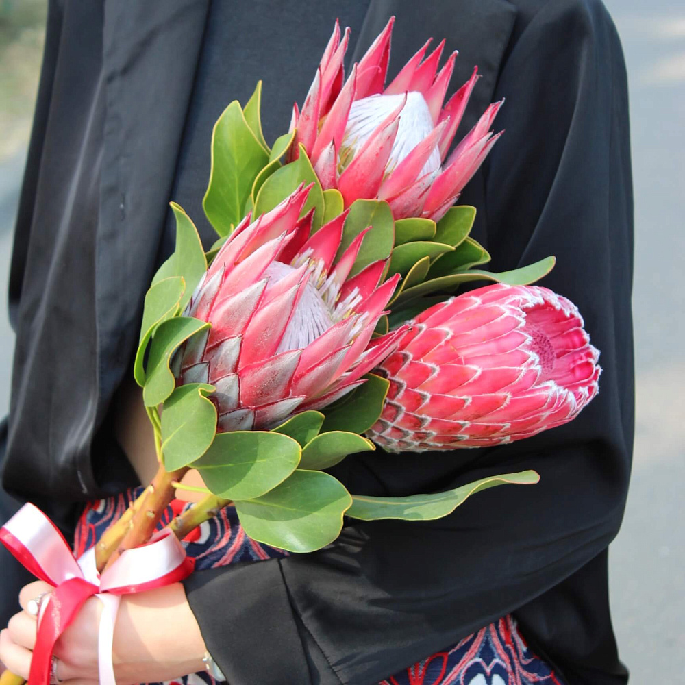 Букет из протеи