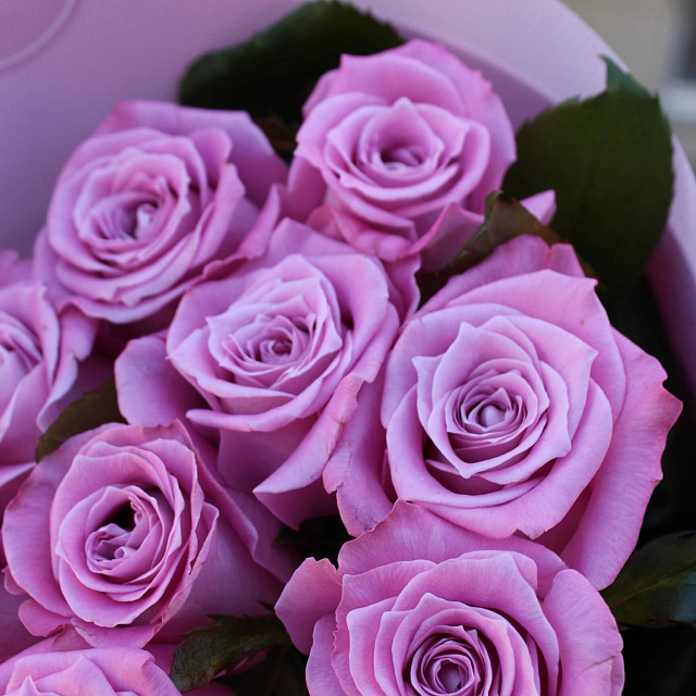 Букеты из 9 роз: Букет из 9 розовых роз 60 см