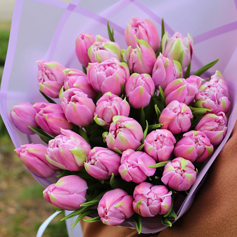 Новинки букетов 2026: Букет из 29 пионовидных тюльпанов