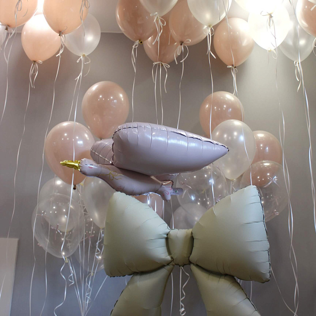 Сет шаров на выписку "Аист" - изображение 2