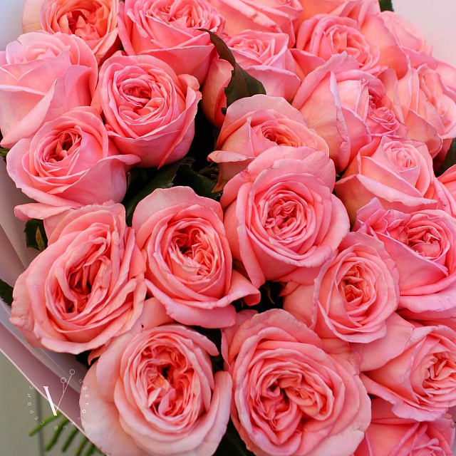 Пионовидные розы: Букет из розы Лондон Ай 31 штука