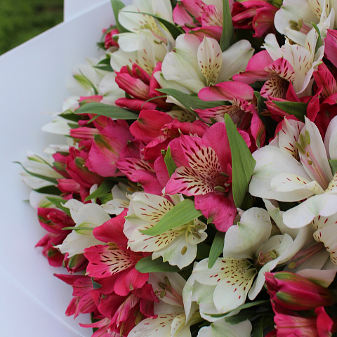 Букет из альстромерии микс