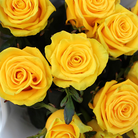 Букеты из 11 роз : Букет из 11 желтых роз 60 см