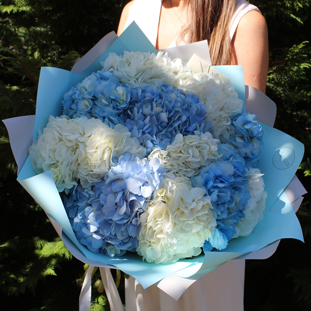 Букет из 11 гортензий в бело-голубой гамме