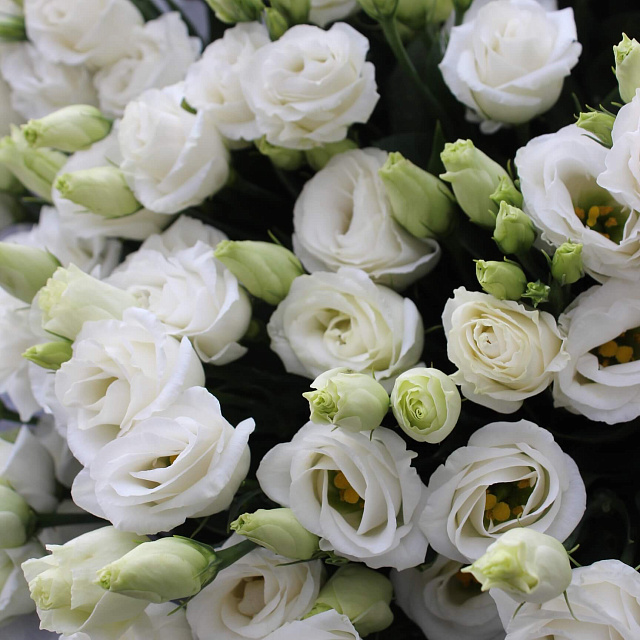 Цветы: Букет "Белая эустома"