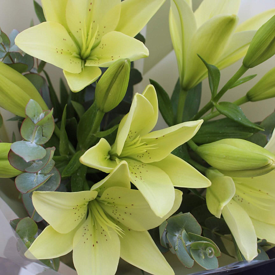 Букет из белой лилии и зелени