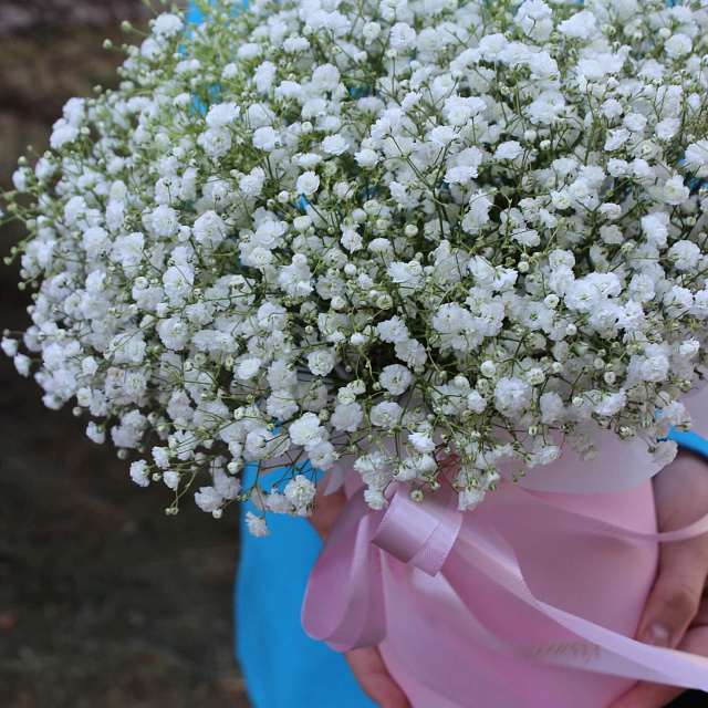 Цветы: Белая гипсофила в коробке "Облако"