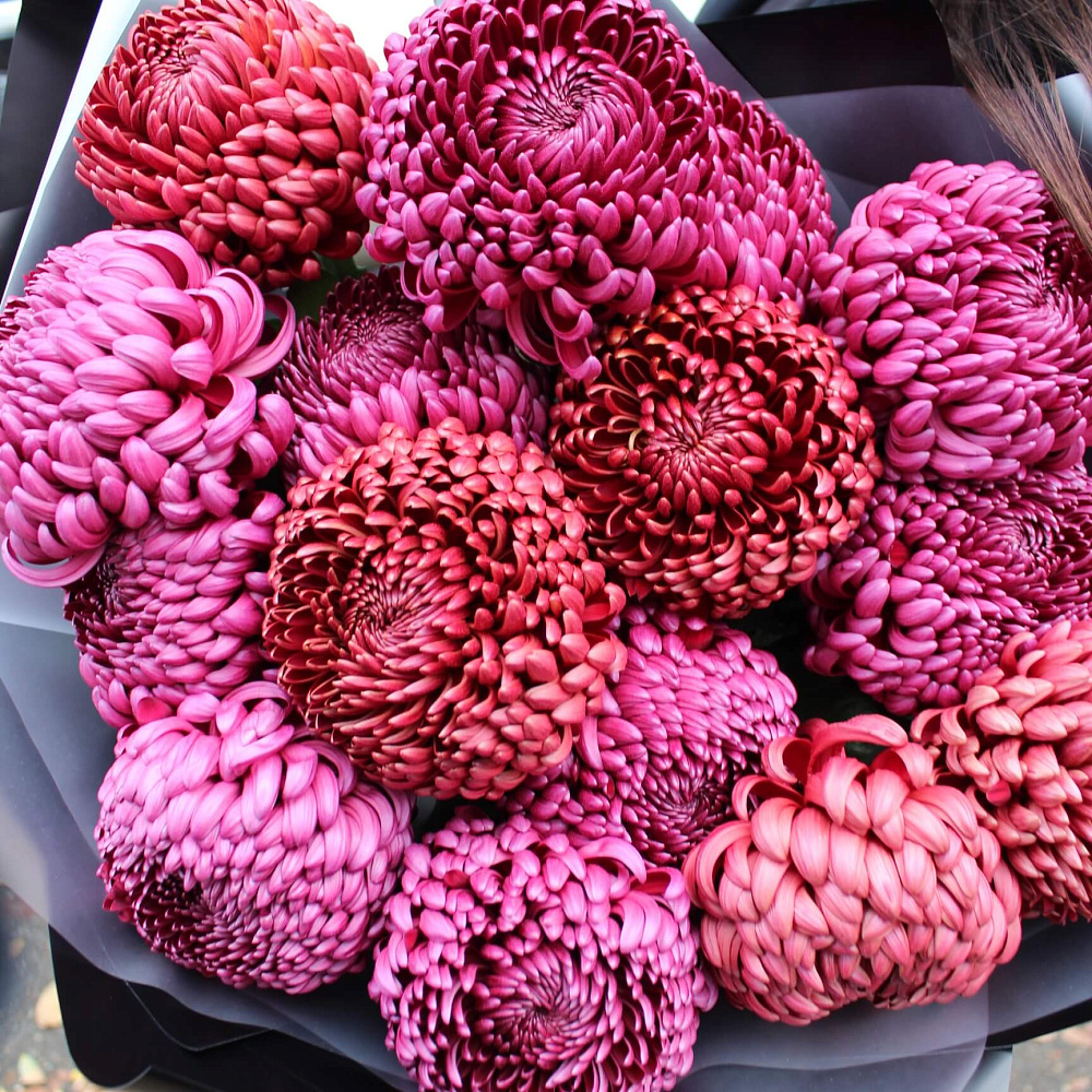 Букет из 15 хризантем микс "Бигуди"