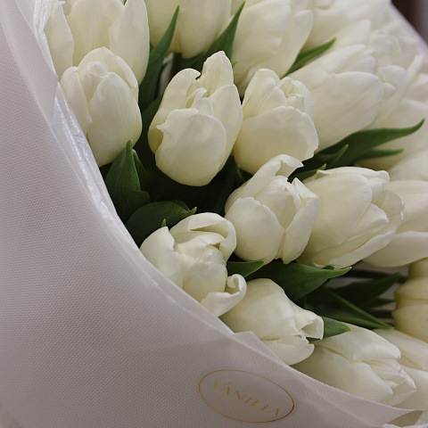 Подарки на 14 февраля: 27 белых тюльпанов