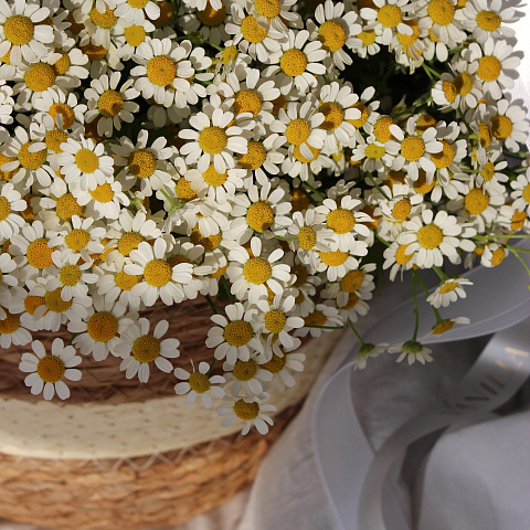 Букеты ромашек: Корзинка с ромашками