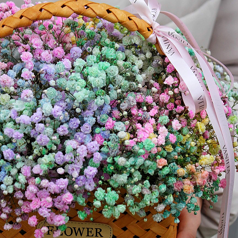 Букеты гипсофилов: Корзина с гипсофилой "Радуга"