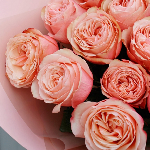Букеты из персиковых роз: 15 пионовидных роз Kahala 60 см