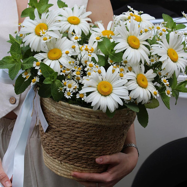 Корзина с сезонными цветами микс