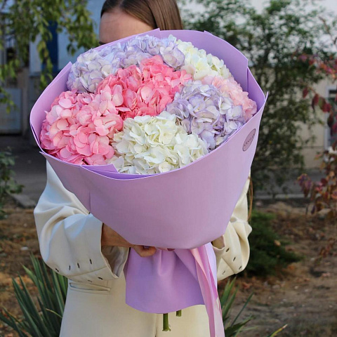 Букет из 7 гортензий микс цветов - изображение 2