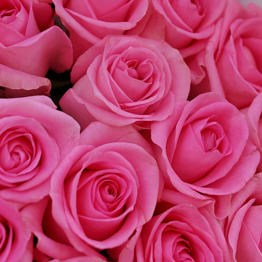 19 роз: Букет из 19 розовых роз 70 см
