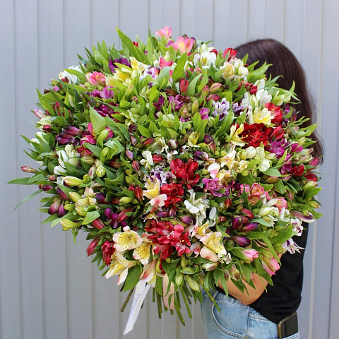 101 ветка альстромерии - изображение 2