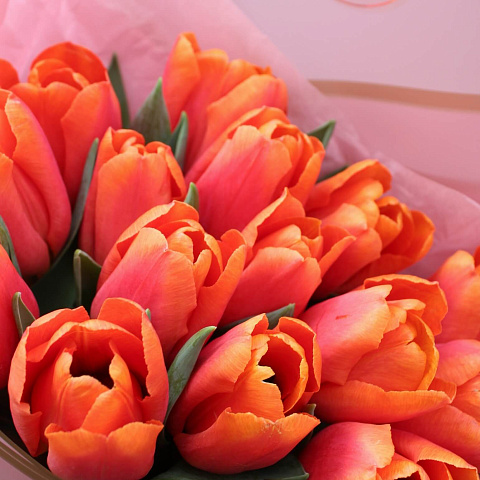Букет из 15 ярких тюльпанов