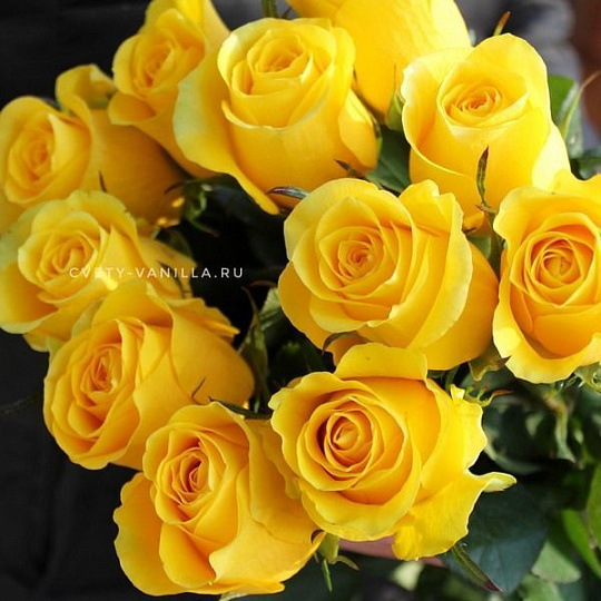 11 желтых голландских роз 60 см