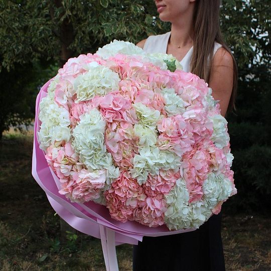 Букет из 51 гортензии микс «Ванилла» - изображение 2