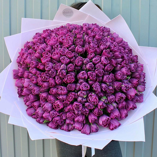 Букет из 175 пионовидных тюльпанов - изображение 2