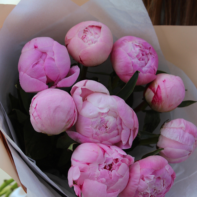 Цветы: Букет из 9 розовых пионов Сара Бернар