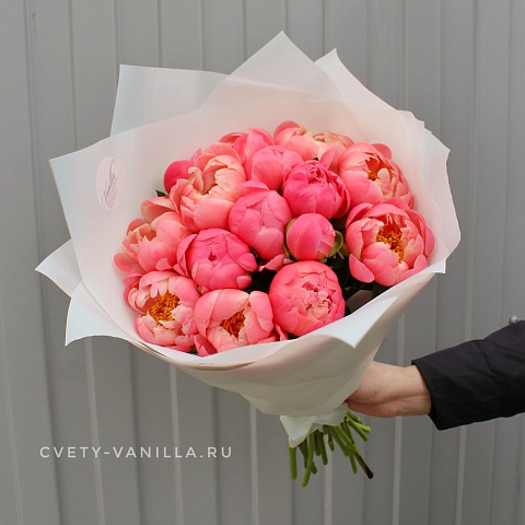 Пионы Cоral - изображение 2