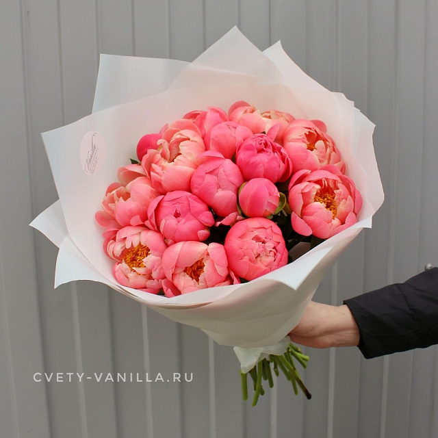 Пионы Cоral - изображение 2