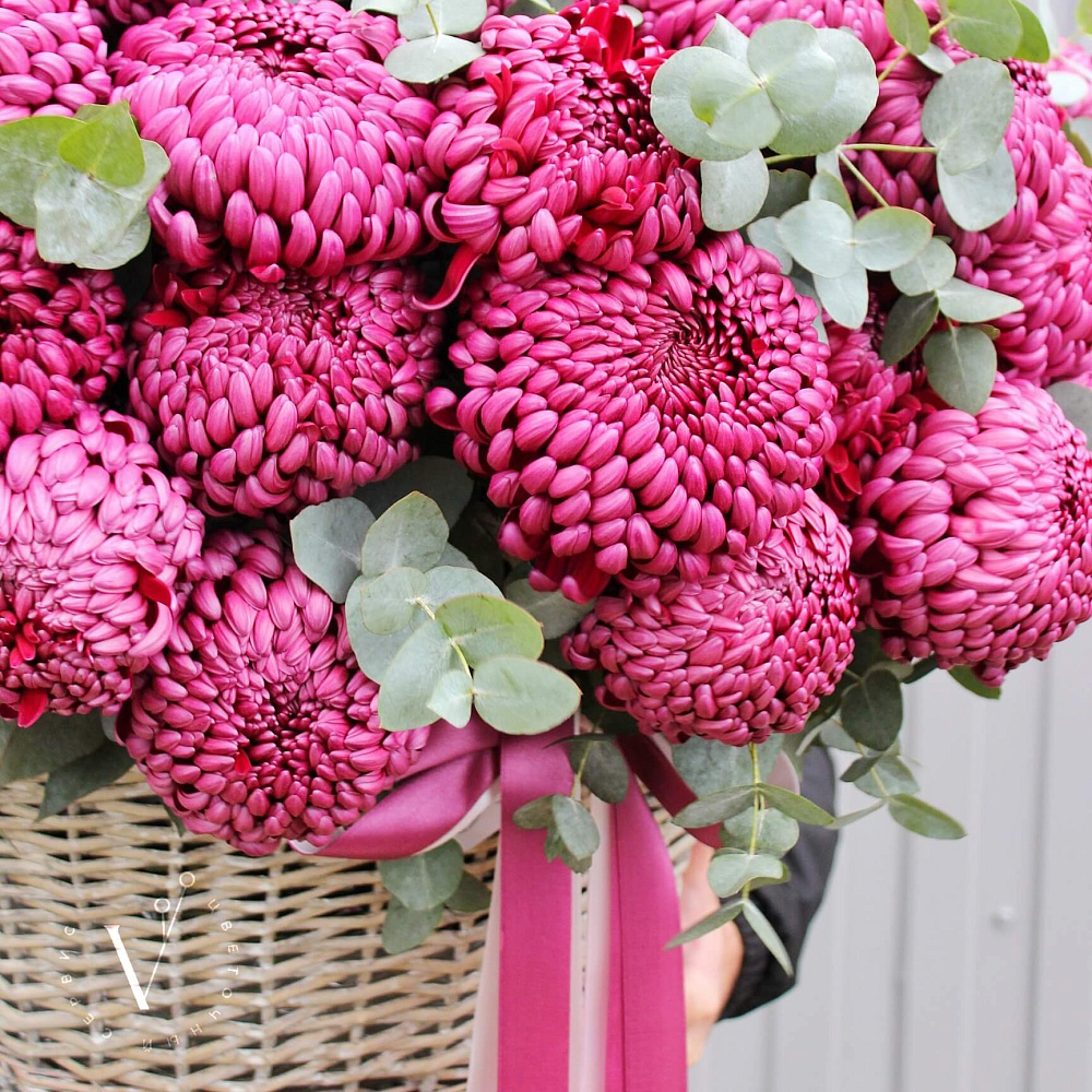 Корзина с одноголовой хризантемой VIP