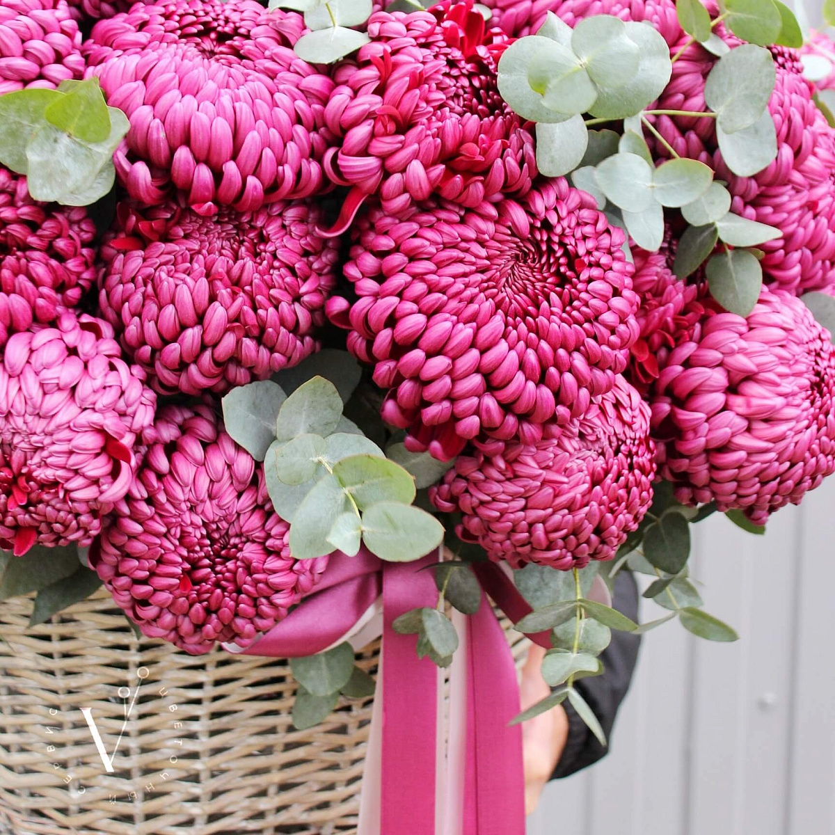 Корзина с одноголовой хризантемой VIP